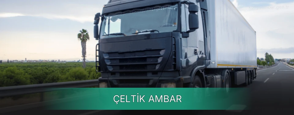 Çeltik Ambar